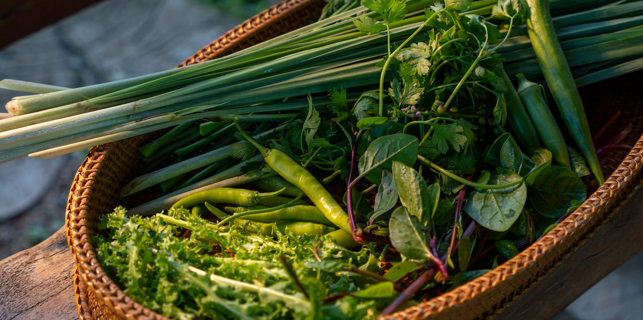 sustaining 3 nature img min