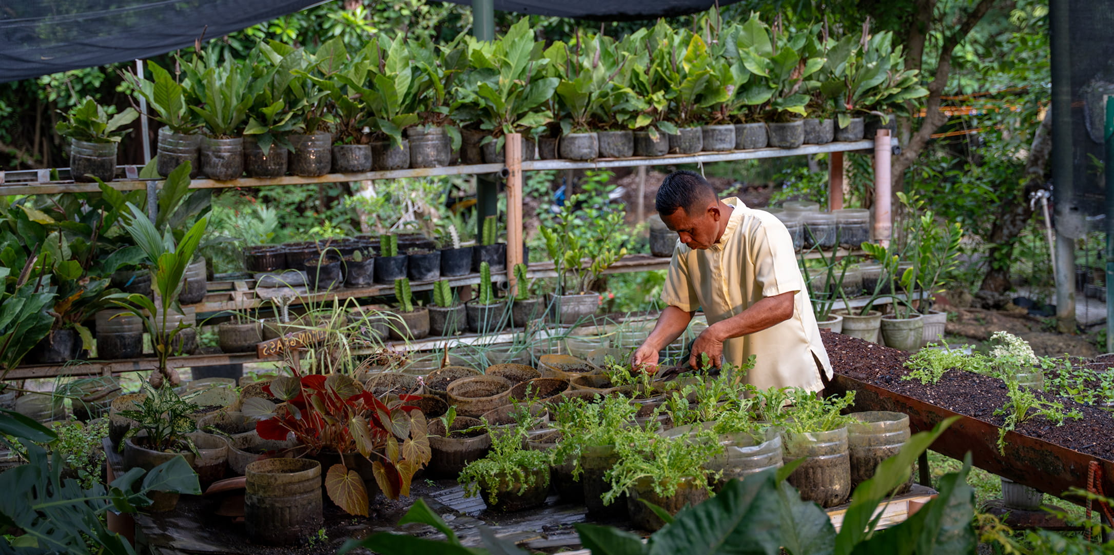 sustaining 5 nature img min